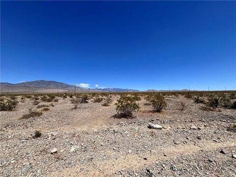 Expansive Desert Land Parcel