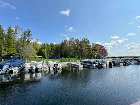 LAND - Alanson, MI