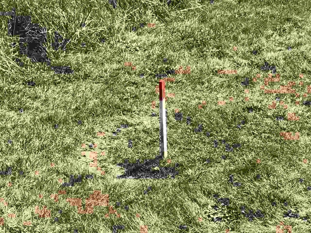 Picture 29