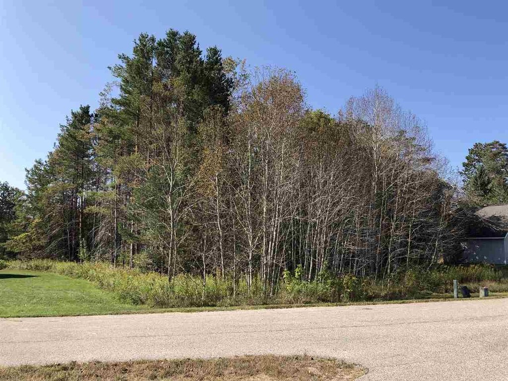 Picture 23