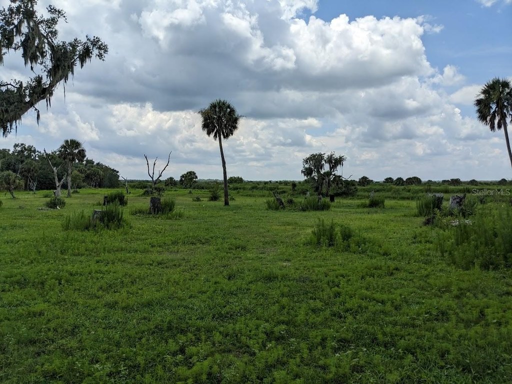 Picture 8