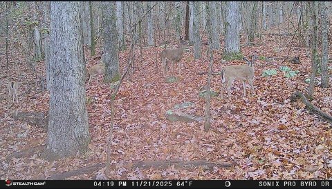 Owens Cross Roads Vacant Land