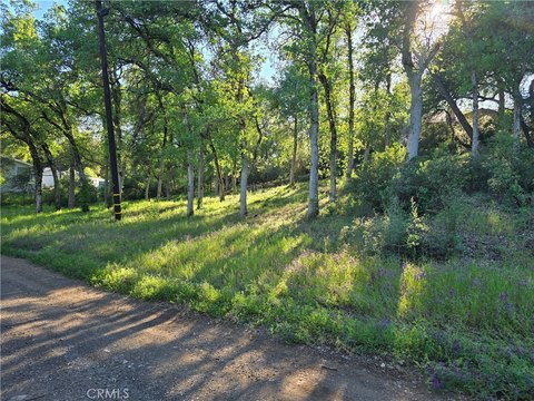 Scenic Land in Clearlake, CA