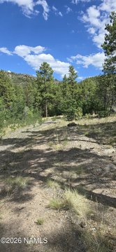 LAND - Williams, AZ