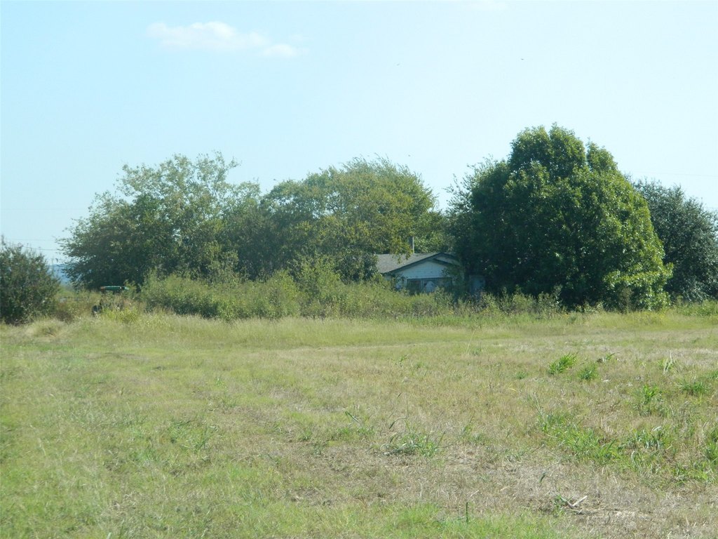 Picture 7