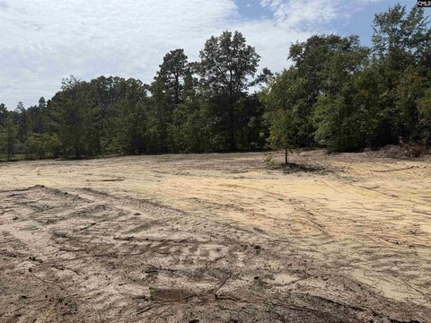 LOTS AND ACREAGE, Hartsville, SC