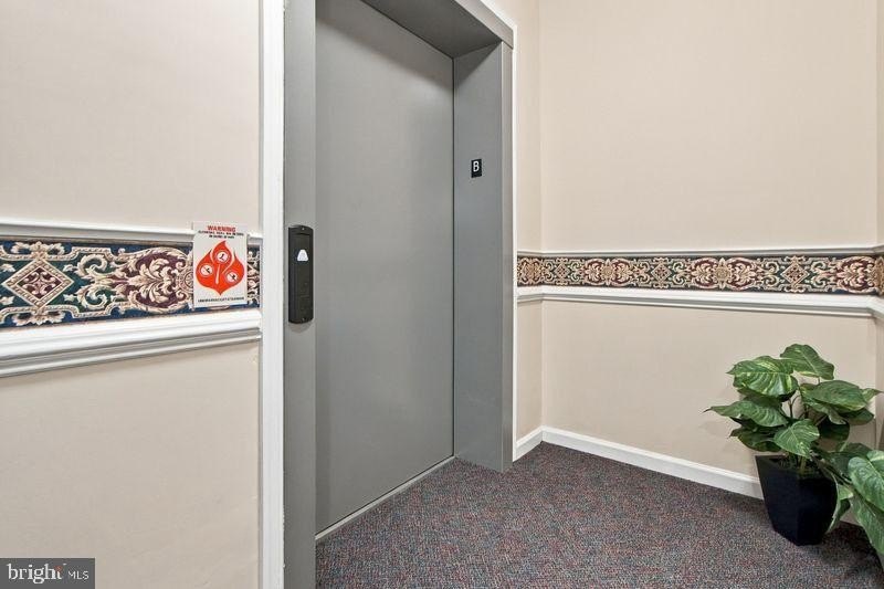 Picture 31