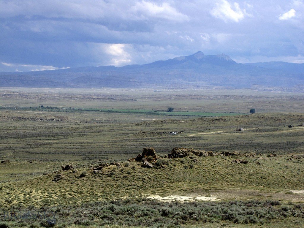 Picture 20