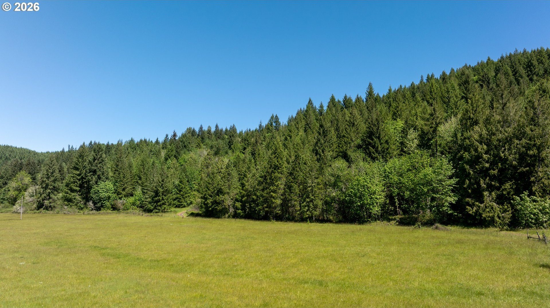 F1 Zoned Land Near Forest