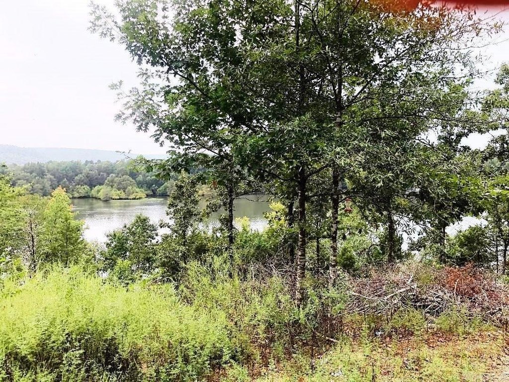 Picture 2