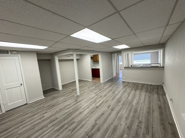Picture 11