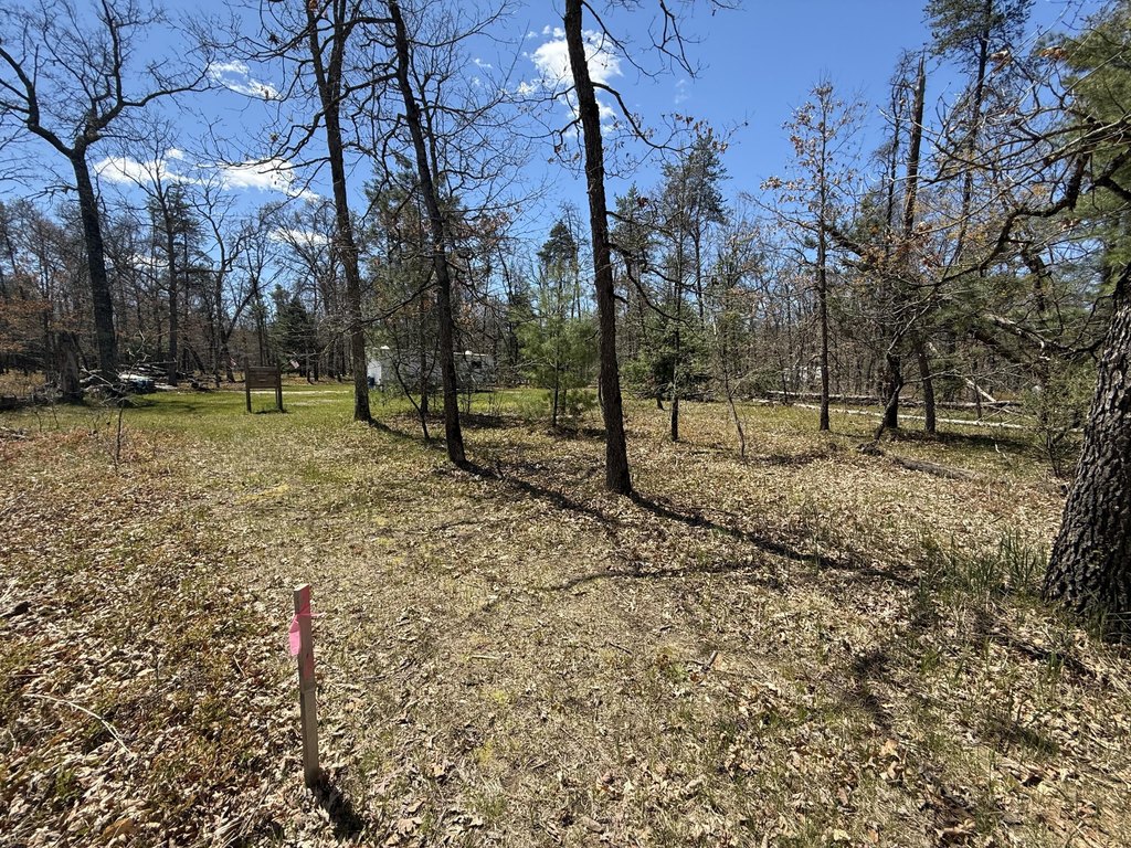 Picture 4