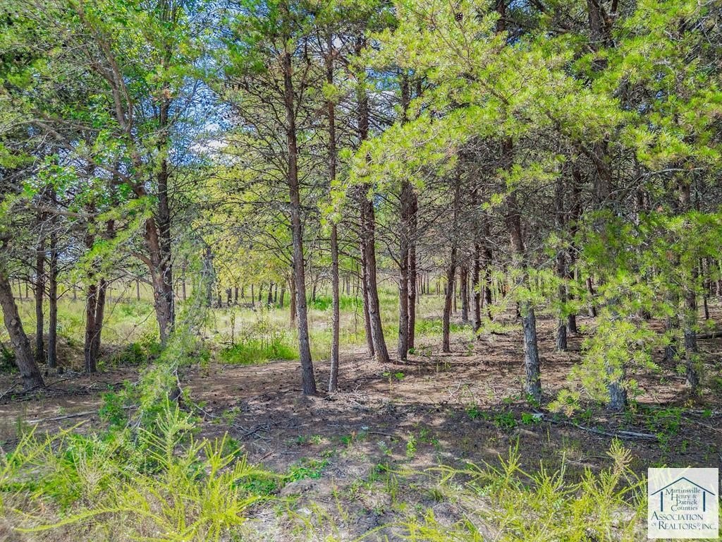 Axton, VA - 5 Acre Land