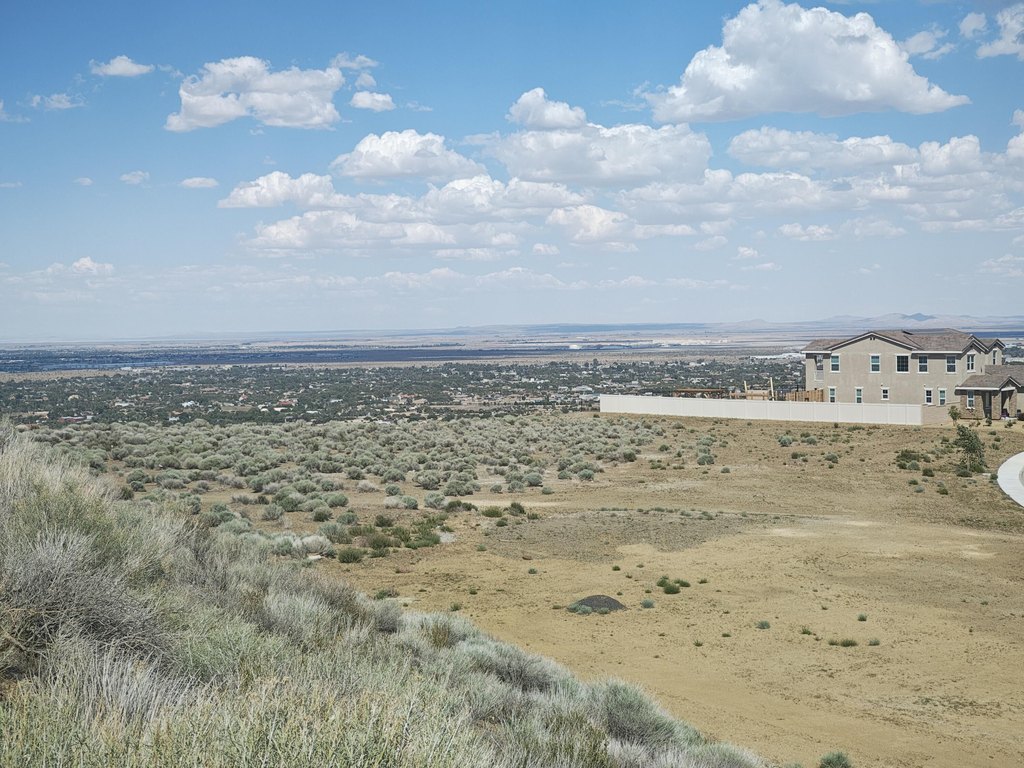 Picture 9
