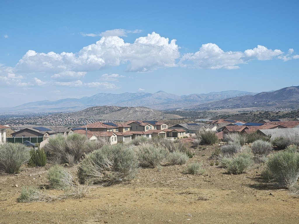 Picture 21