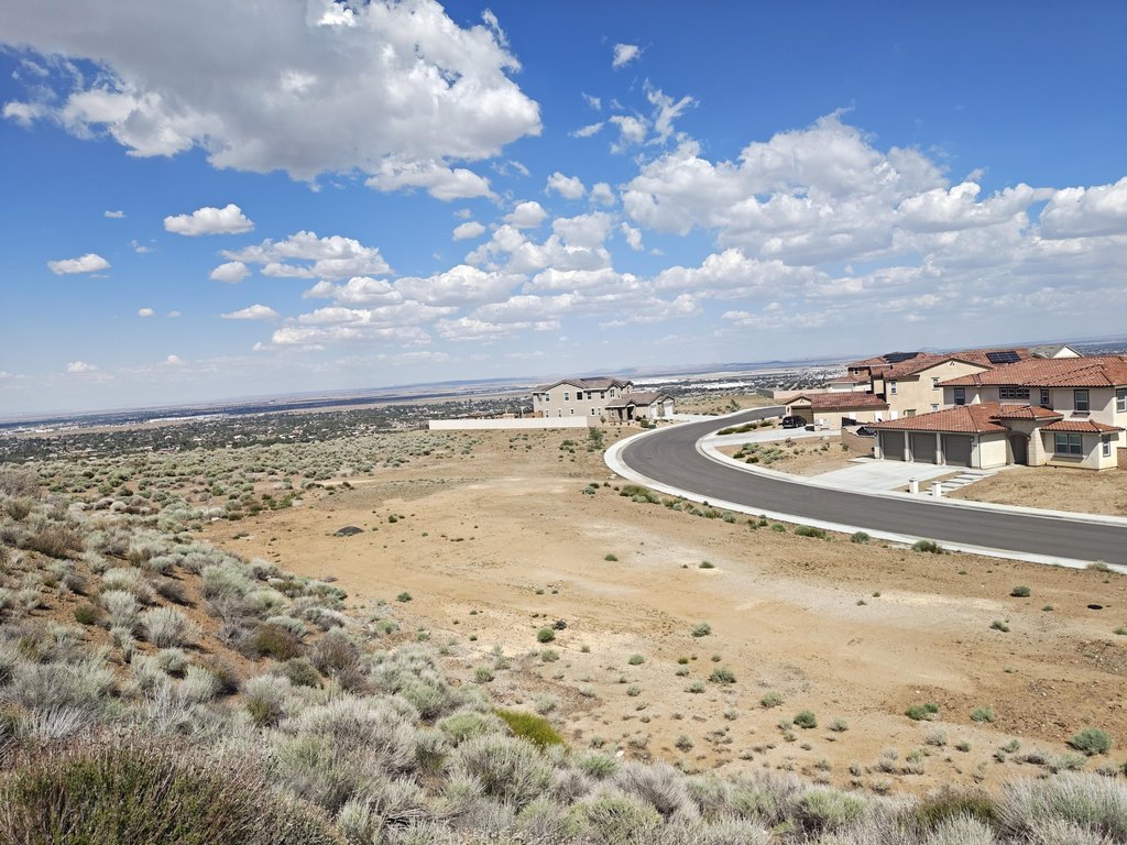 Picture 19