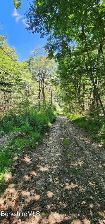 Picture 12