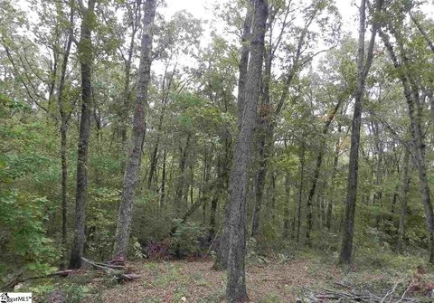 LAND - Landrum, SC