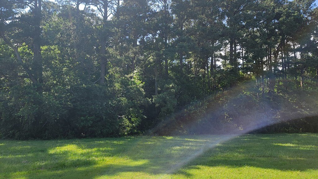 Picture 5