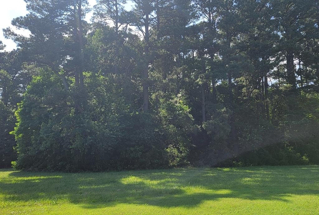 Undeveloped Lot in Accomac, VA