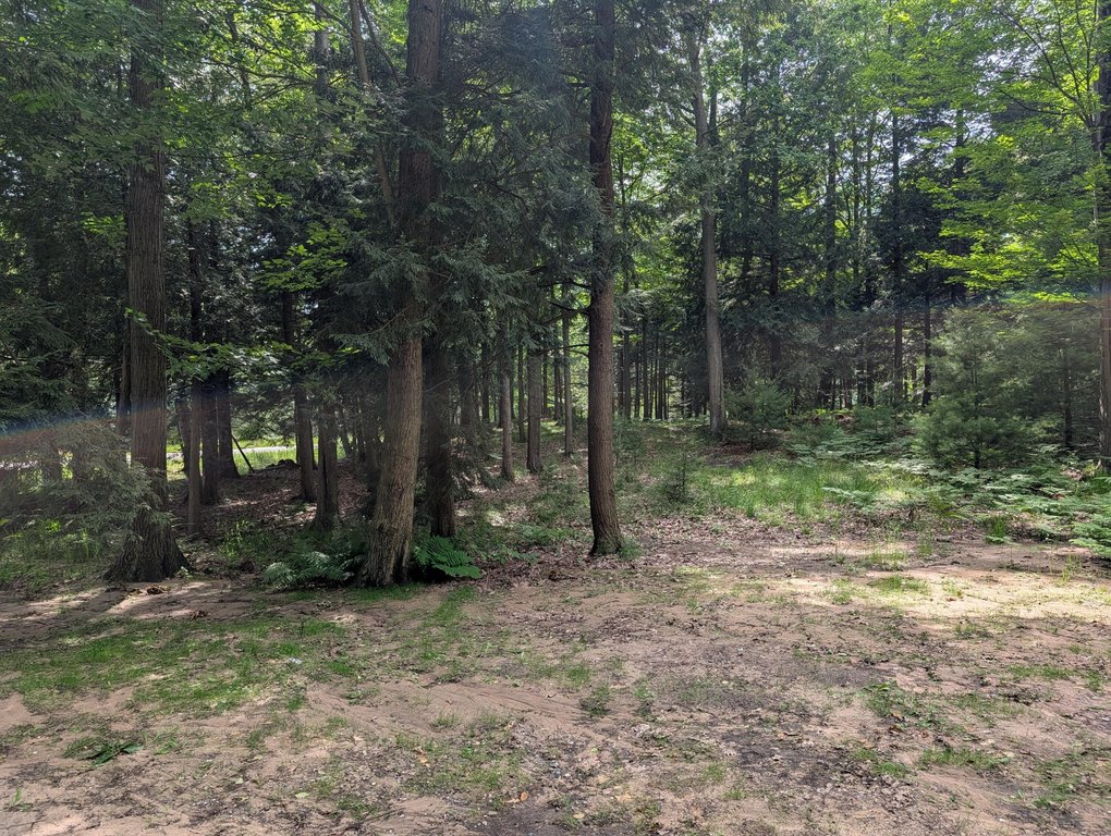 Picture 6