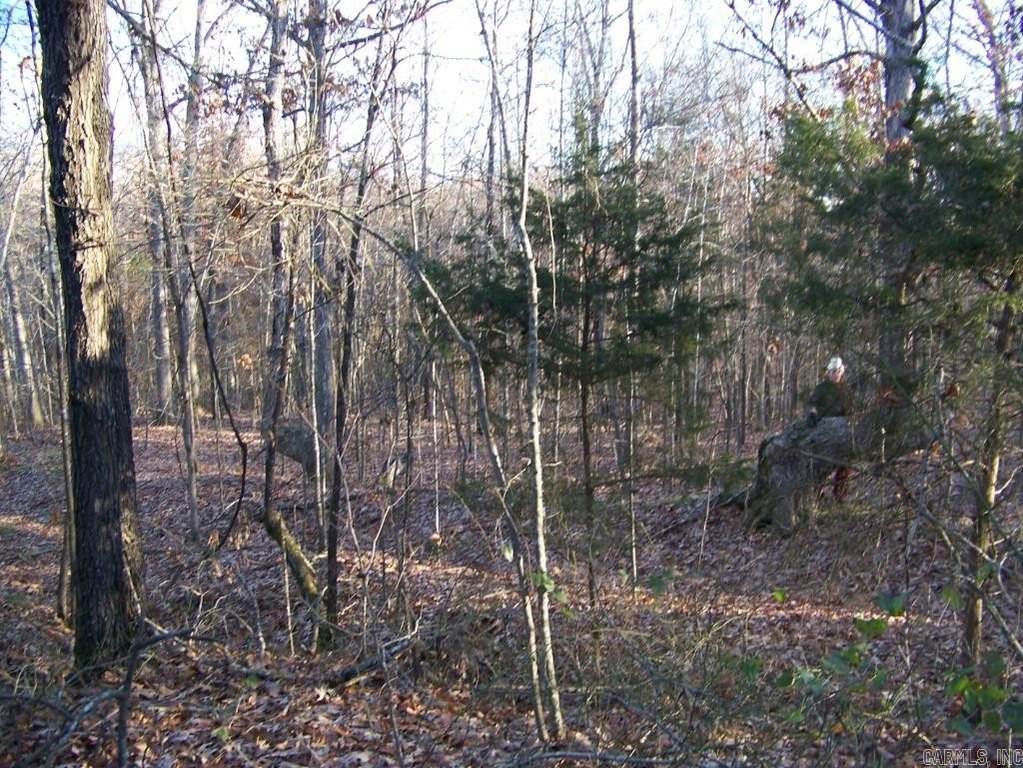 Picture 3