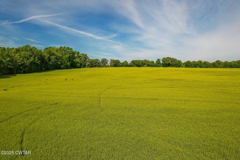 Prime Commercial Lot in Brownsville