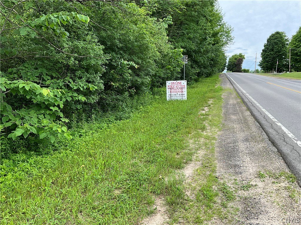 Picture 24