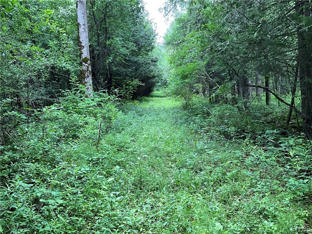Picture 17