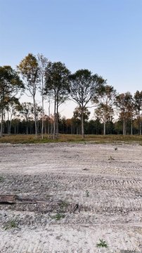 Land, Walker, LA