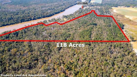 Uvalda, GA Hunting Land ForSale