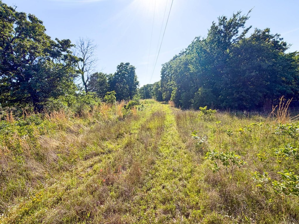 Picture 46