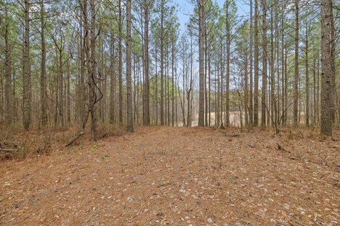 Guild, TN Land For Sale