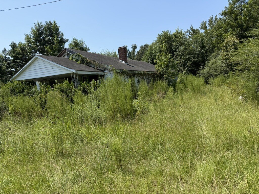 Picture 21