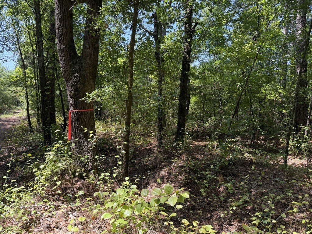 Picture 13