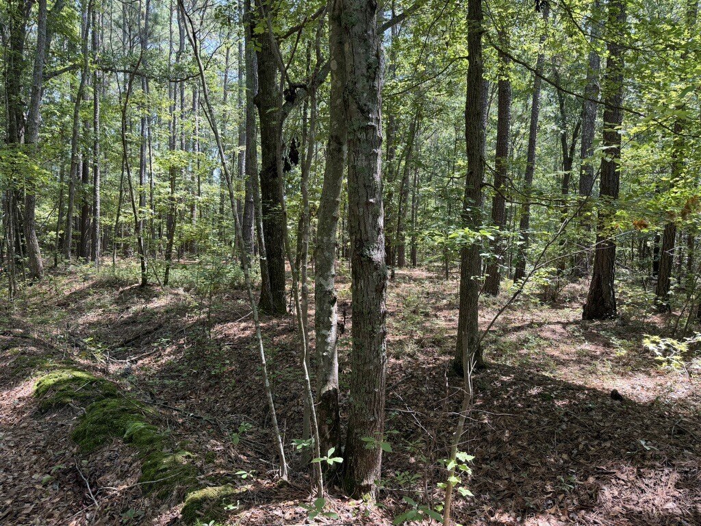 Picture 10