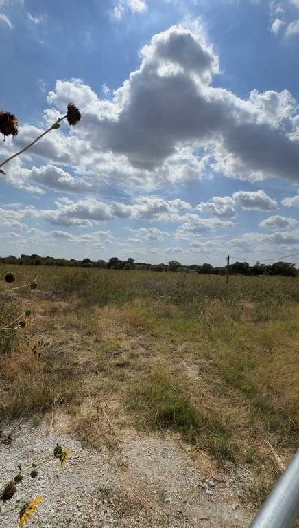 Picture 17