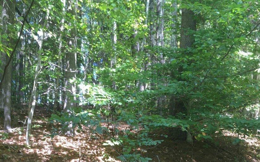 Picture 3