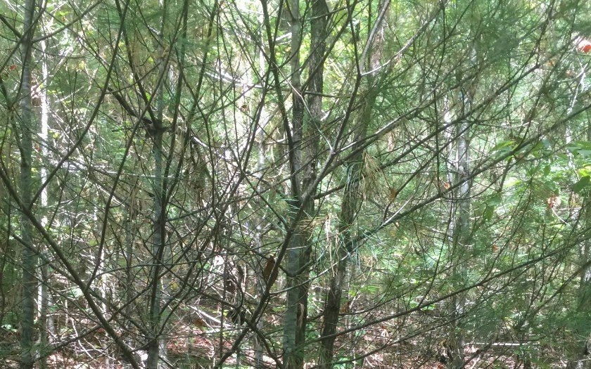 Picture 4