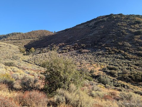 Land, Tehachapi, CA