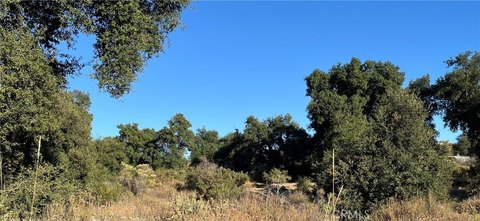 Hemet Land with Oak Grove
