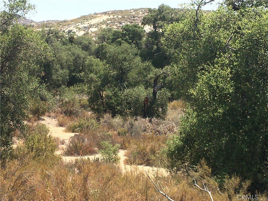 Picture 8