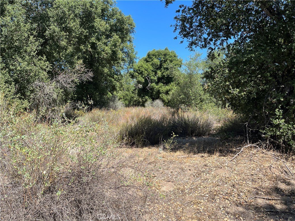 Picture 20
