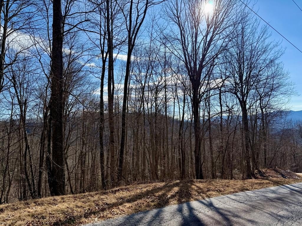 Secluded Mountain Land in Bryson
