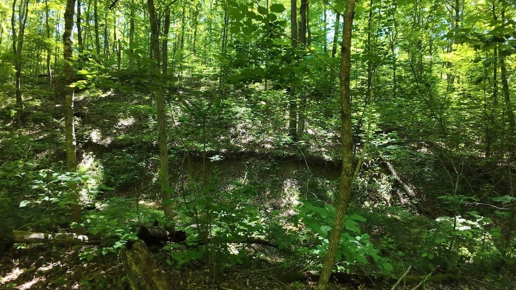 Picture 11