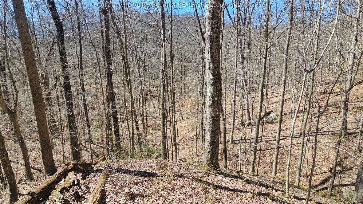 Clendenin Wooded Land For Sale