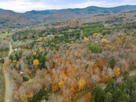 Wooded Mountain Home Lot