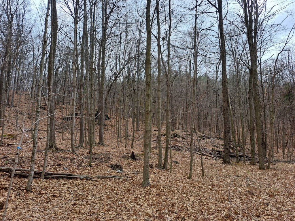 Picture 33