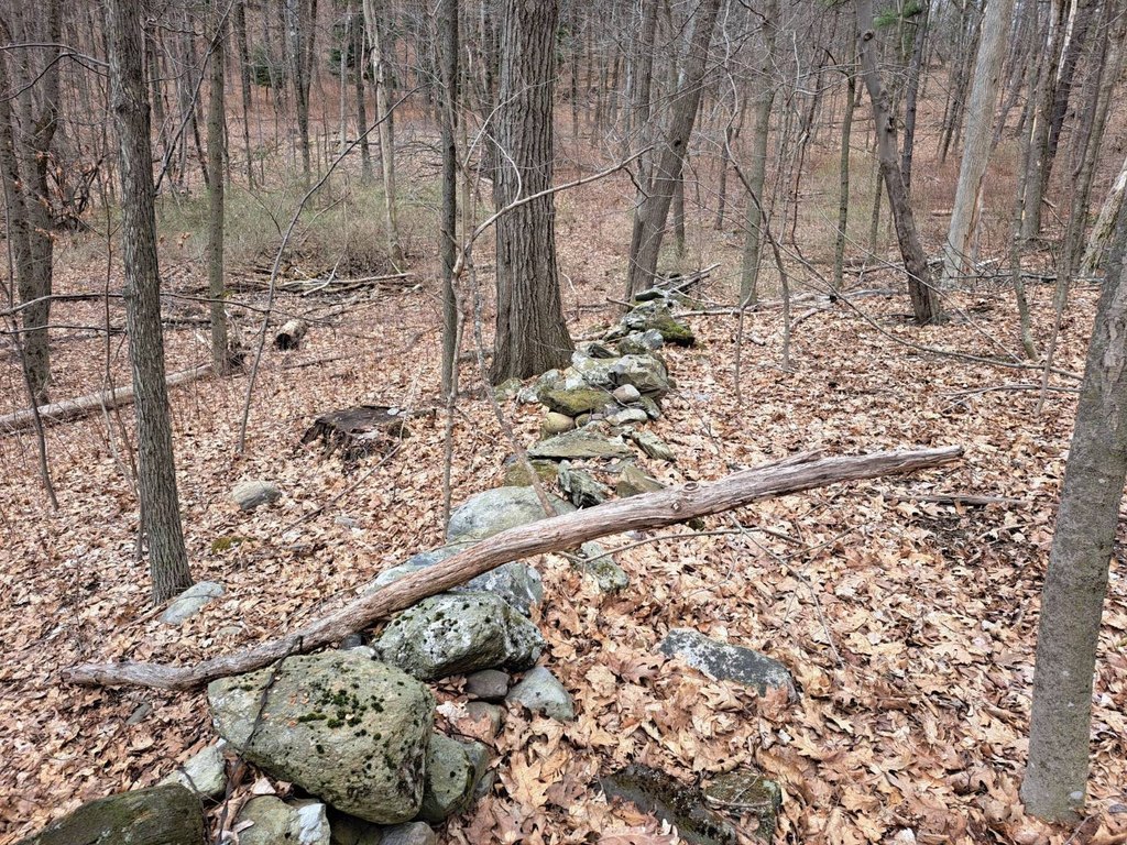 Picture 37