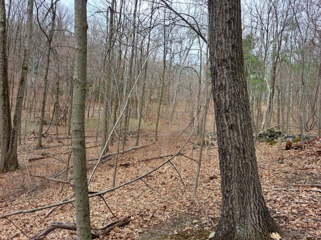 Picture 44